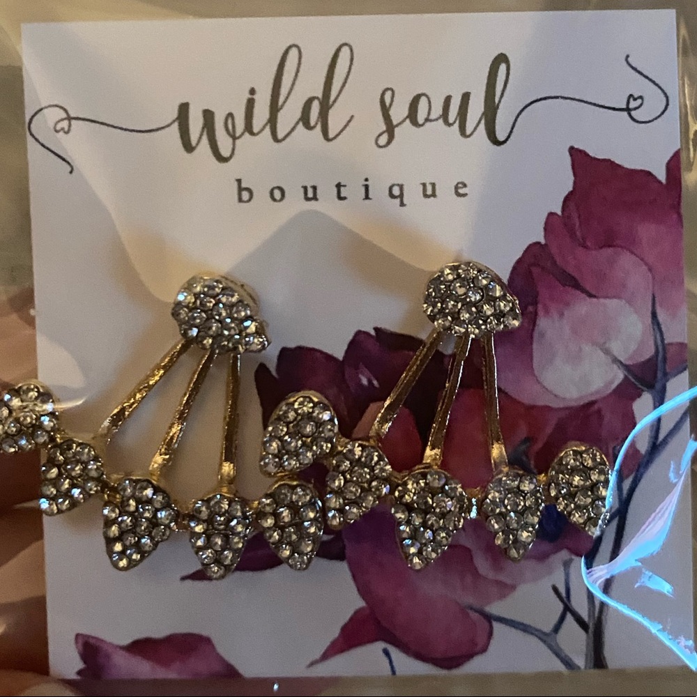 Brand New Boutique Earrings